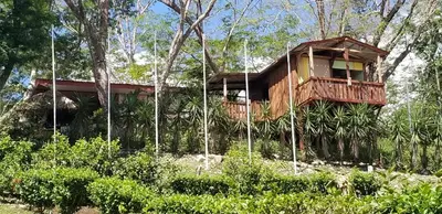 a tree house in the middle of a forest at Cabana Luna in Jicaral