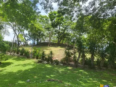 a park with trees and grass and a field at Cabana Luna in Jicaral
