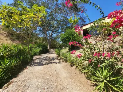 a garden path with pink flowers and a house at Cabana Luna in Jicaral