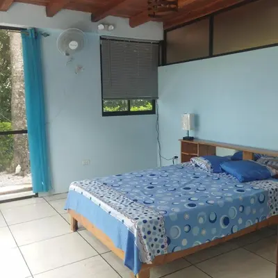 a bedroom with a bed in a blue room at Nidos Paradise's in Buenos Aires