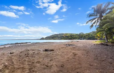 a sandy beach with palm trees and the ocean at Casa amor del sol apartment # 3 in Tarcoles