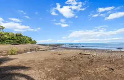 a sandy beach with trees and the ocean at Casa amor del sol apartment # 3 in Tarcoles
