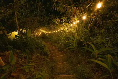 a string of lights in a garden at night at Tardes Doradas in Quepos