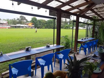 a patio with blue tables and chairs and a field at Aracari Garden Hostel in Tortuguero