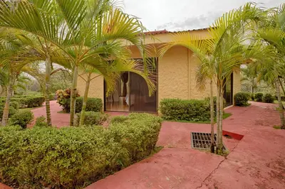 a house with palm trees in front of it at Vista Condor Lodge in Puerto Viejo