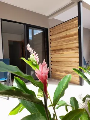 a plant with a pink flower in front of a mirror at Moon Home Sun #3 in Playa hermosa