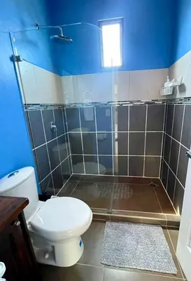 a bathroom with a toilet and a shower at Apartamento Marina in Monteverde Costa Rica