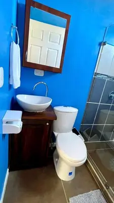 a blue bathroom with a toilet and a sink at Apartamento Marina in Monteverde Costa Rica
