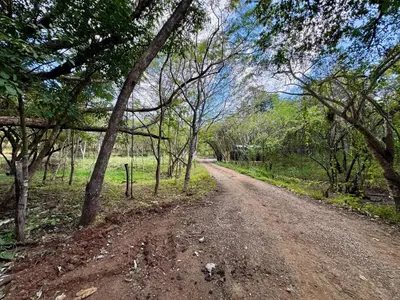 a dirt road with trees on either side of it at La VanDida, Camper house in Paraíso
