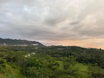 a view of a valley with trees and a road at Verde Armonía Lodge in Naranjito