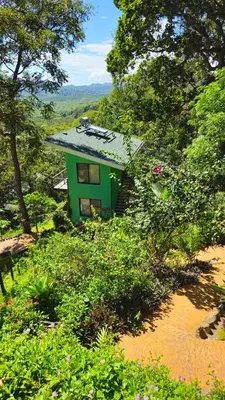 a small green house in the middle of a forest at Susanne's Bungalow de Casa Felicidad in Paquera