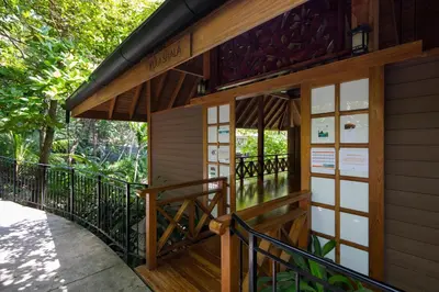 a walkway to the front of a tree house at Bodhi Tree Yoga Resort in Nosara