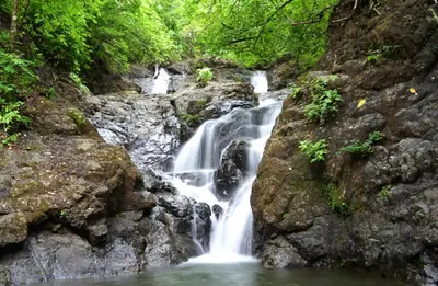 a waterfall in the middle of a forest at Bodhi Tree Yoga Resort in Nosara