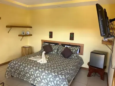 a bedroom with a bed and a flat screen tv at Hotel Orocay Lodge in Cartago