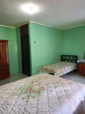 a bedroom with two beds in a room with green walls at La Tica in Horquetas