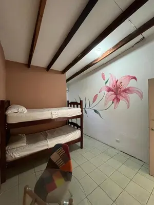 a room with two bunk beds and a flower on the wall at Tsunami Hostel in Tamarindo