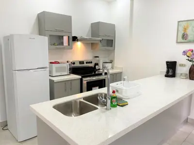a kitchen with a sink and a white refrigerator at Villas Portofino in Tamarindo