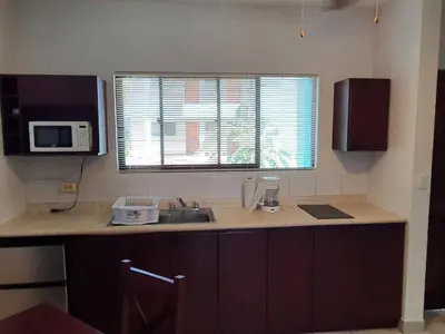 a kitchen with a sink and a microwave and a window at Marina Loft Condos 212 in Coco