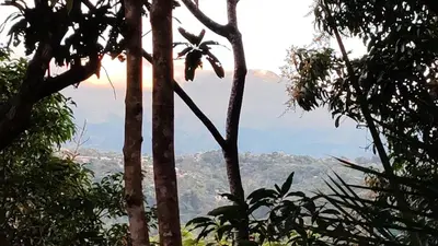 a view of the mountains from between trees at Villa Los Colibrí 11 in Agua Blanca