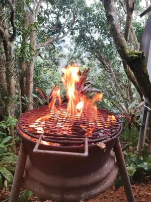 a fire pit in a garden with trees in the background at Villa Los Colibrí 11 in Agua Blanca