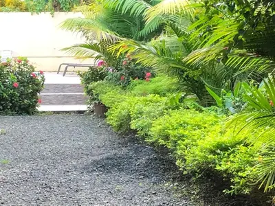 a bench in a garden with plants and flowers at Casa Monos in Quepos
