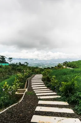 a stone path in a field with flowers at Domo Mágico en las Alturas, EL SOL in San José