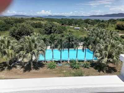 an overhead view of a swimming pool with palm trees at Apartamento equipado, con amplia piscina in Paquera