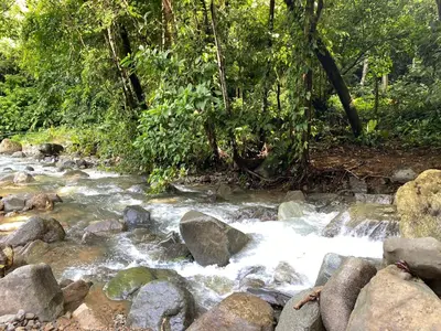 a stream of water with rocks and trees at Private room in nature in Coronado