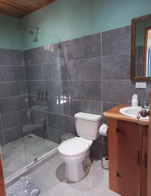 a bathroom with a toilet and a shower and a sink at Cabina el atardecer in Monteverde Costa Rica