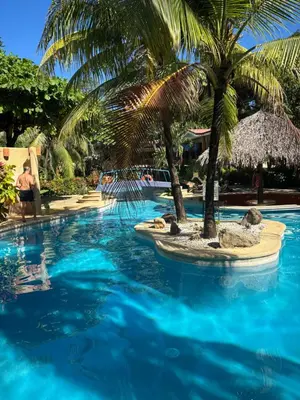 a palm tree in the middle of a swimming pool at Cocomarindo 63 in Coco