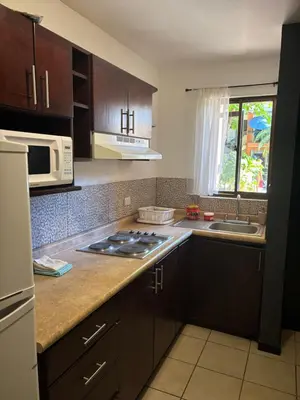 a kitchen with a stove and a microwave at Cocomarindo 63 in Coco
