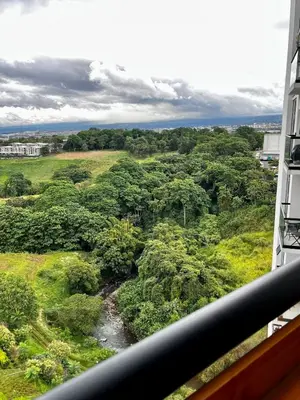 a view from a balcony of a forest with a river at Top-floor overlooking uptown with AC & parking in San José