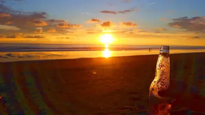 a bottle of beer on the beach at sunset at Jardín de los Monos in Matapalo