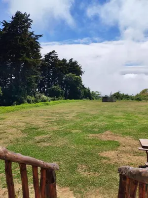 a large open field with a bench and trees at Cabaña Rancho Don Marino in Cartago