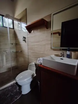 a bathroom with a toilet and a sink and a shower at La Finca Tovar- Casita in San Ramón