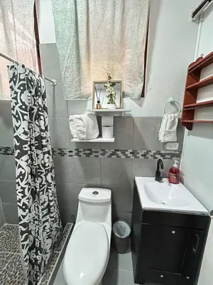 a small bathroom with a toilet and a sink at Apartamento Quepos in Quepos