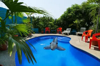 a dolphin in the middle of a swimming pool at Casa Mariposa in Jacó