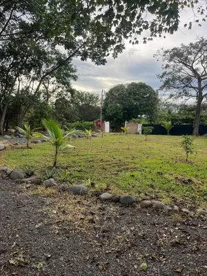 a green field with trees and rocks on the grass at Pronájem prázdninového domu in Tivives