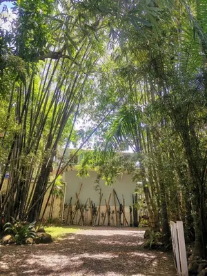 a garden with bamboo trees and a building at Villa Turrubares in San Pablo
