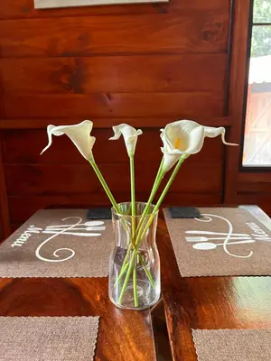a vase with flowers in it on a table at Casa LORA Eco nature retreat in Bagaces in Bagaces