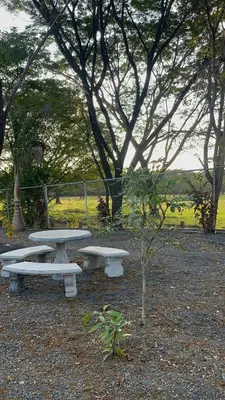 a group of picnic tables in a park at Roldán Lands in Huacas