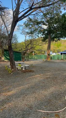 a tree sitting in a parking lot next to a street at Roldán Lands in Huacas
