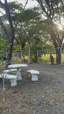 three white picnic tables in a park with trees at Roldán Lands in Huacas