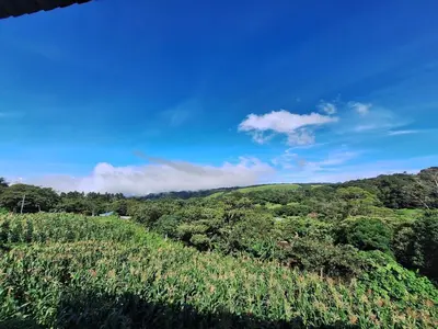 a view of a hill with trees and a blue sky at Mountain & sunset view Villa, Monteverde in Monteverde Costa Rica