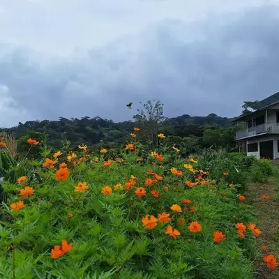 Mountain & sunset view Villa