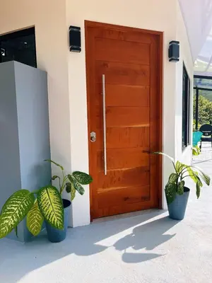 a wooden door of a house with two potted plants at Casa Nara in Sámara