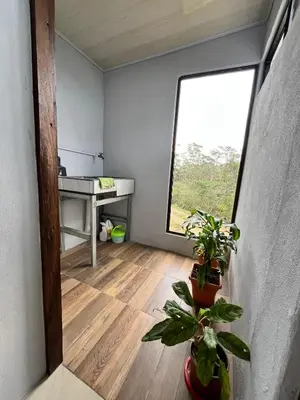 a room with a window and two potted plants at Bellavista Ceci A2 in San Ramón