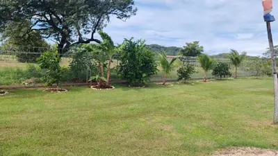 a yard with trees and plants in a field at Villa Manzú Santa Cruz, Guanacaste in Santa Cruz