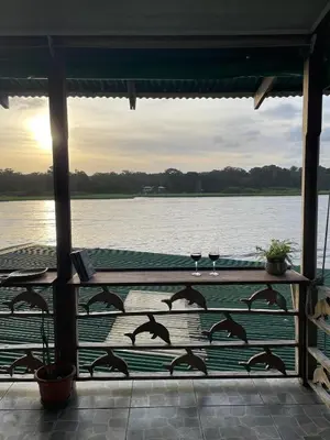 a group of birds flying over a body of water at Casa Los Delfines in Tortuguero