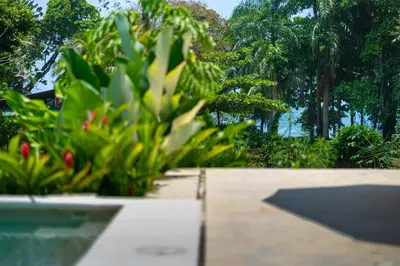 a view of a garden with plants and trees at Chalet Tropical - by Pura Villas in Ballena